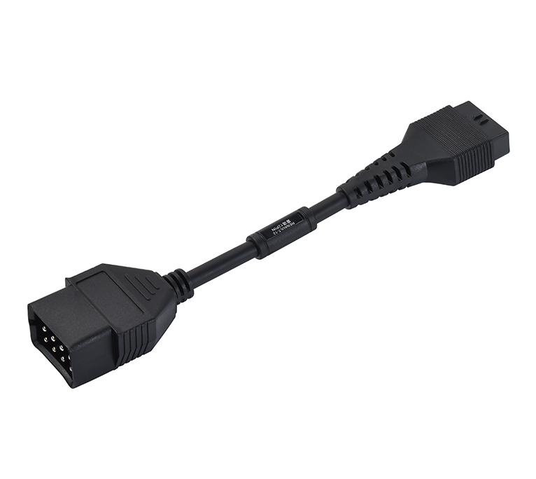 RNLT 12
